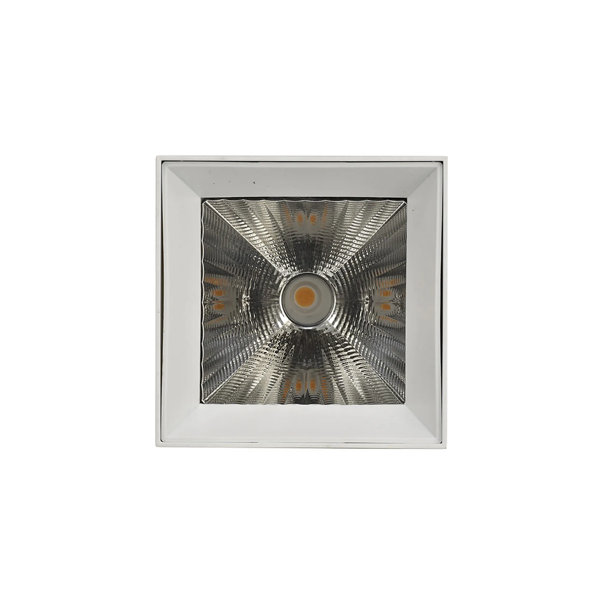 Eox 30 Indoor Surface Mounted Luminaires Dlux Unidirectional Surface Mount